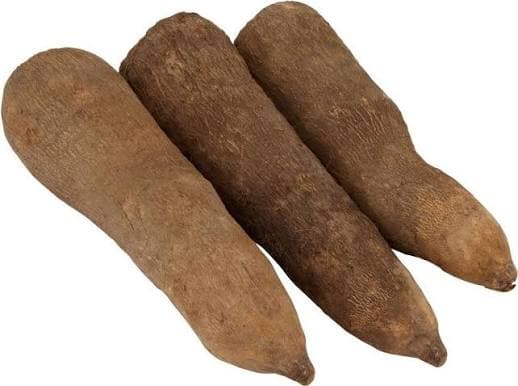 Fresh Yam Tuber